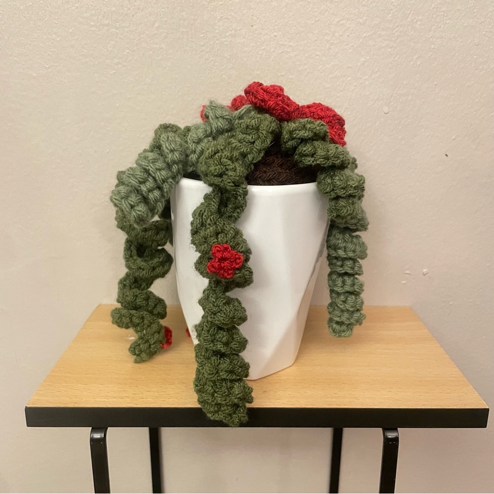 LD Yarn Creations Handmade Green & Red Crocheted Plant Décor – Approx 6” Tall - Picture 5 of 13